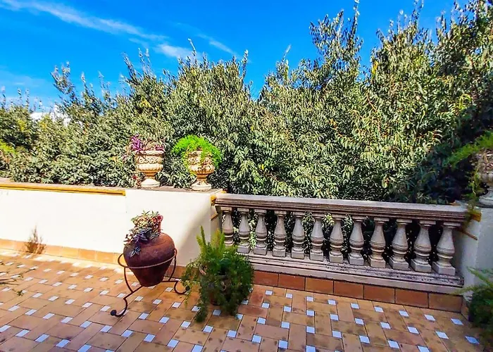 Atico Duplex Alameda De Hercules Gran Terraza