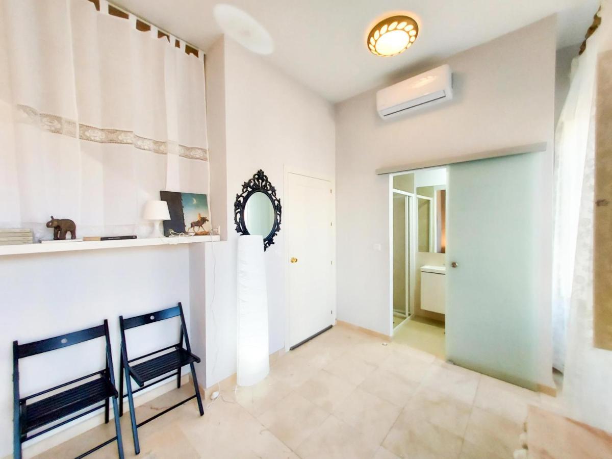 Atico Duplex Alameda De Hercules Gran Terraza Appartement